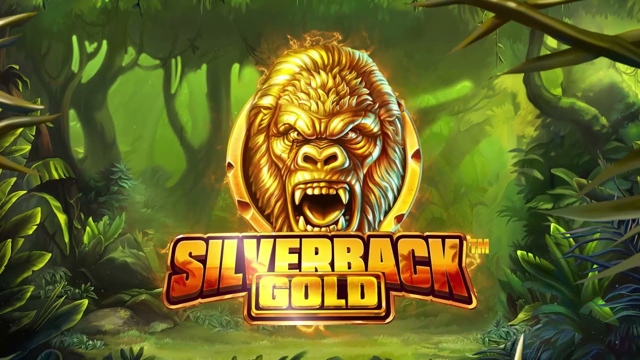 Silverback-Gold
